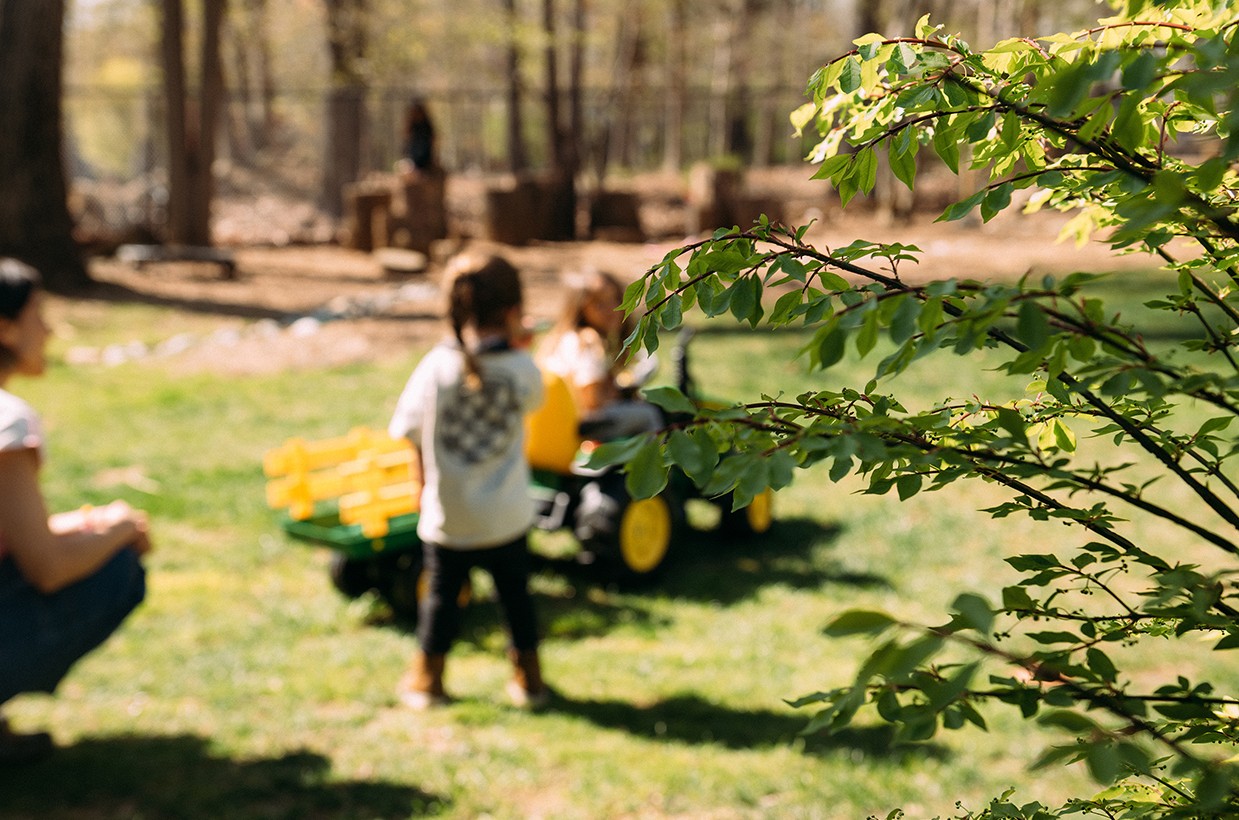 HOLISTIC FOREST SCHOOL