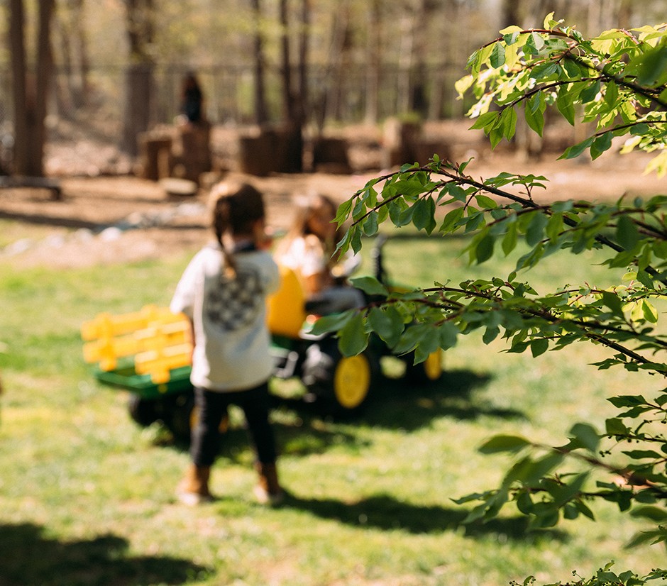 HOLISTIC FOREST SCHOOL